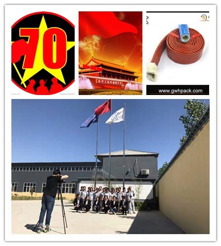 慶祝新中國成立70周年=大奇跡的70年光輝歷程